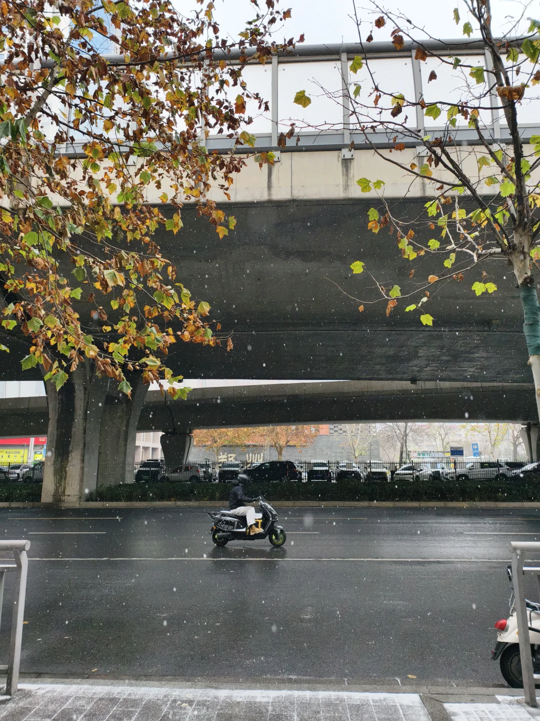 郑州终于迎来了初雪❄️(◕‿◕✿)