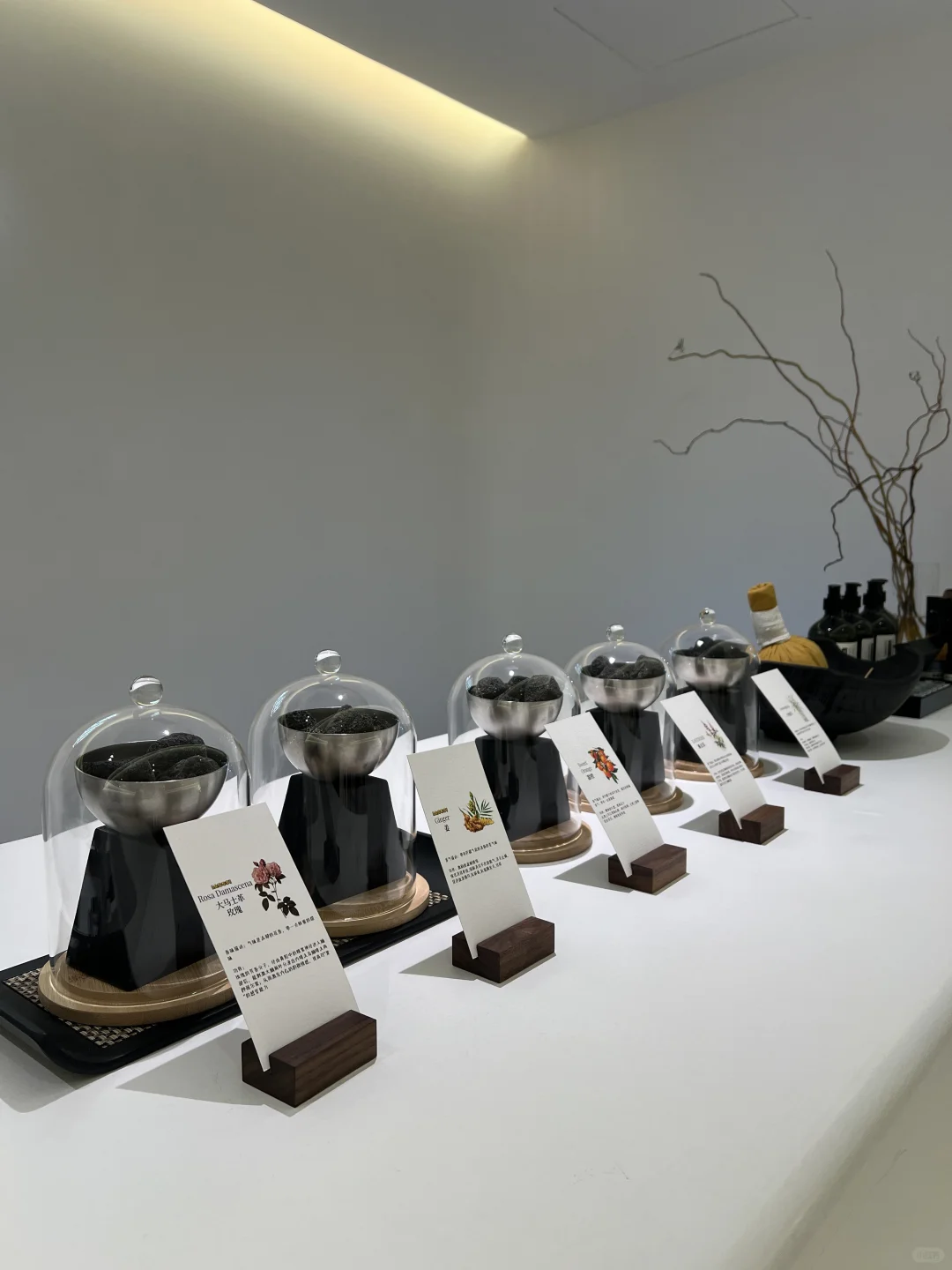 深圳新店｜会展中心的精致女孩们是真会啊～