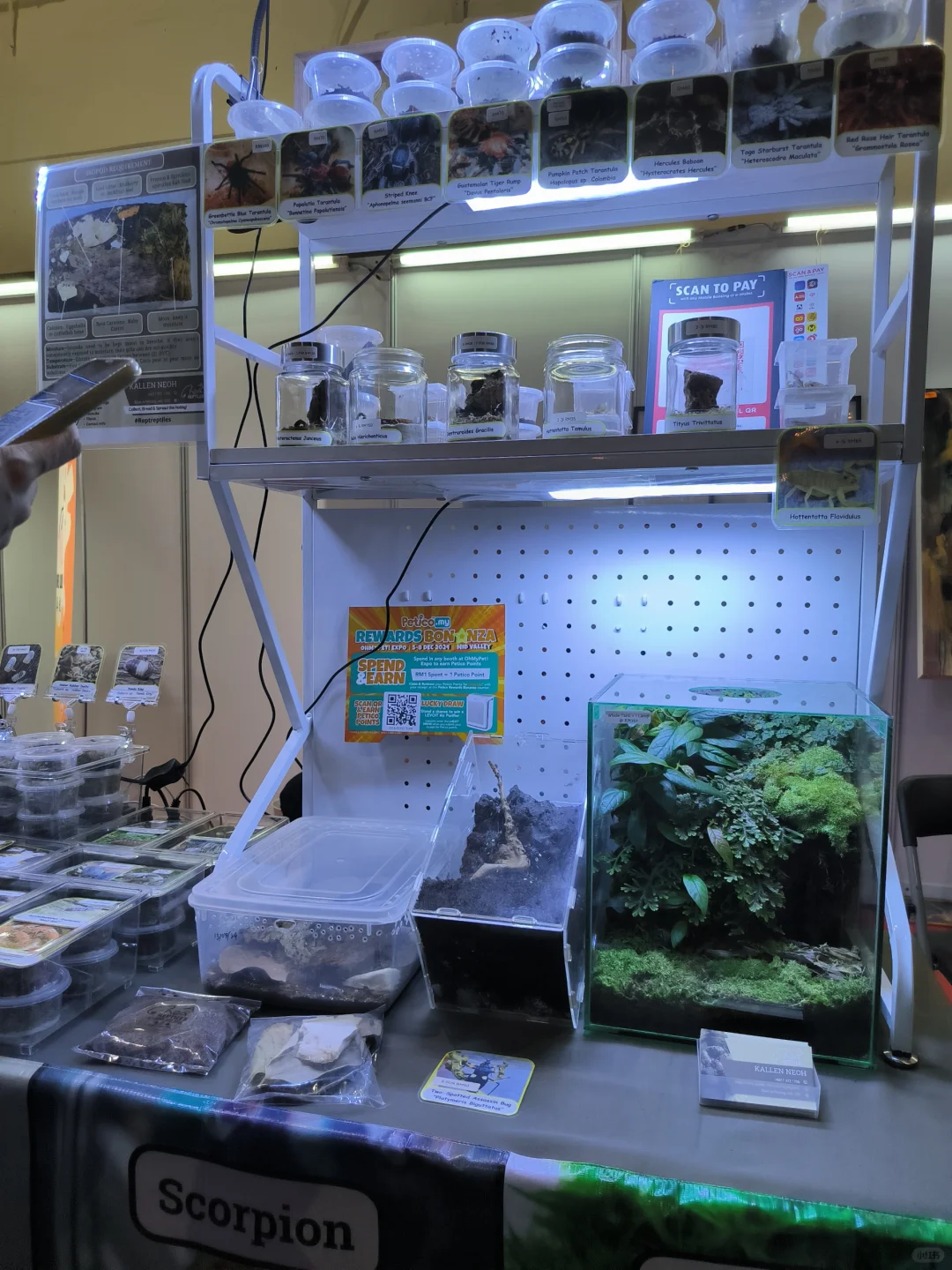 ?宠物主人看过来！马来西亚最大型宠物展
