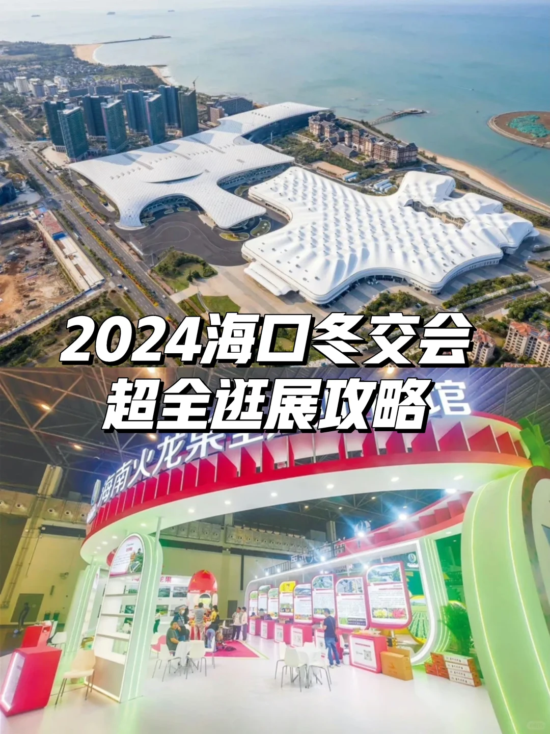 2024海南冬交会 | 逛展攻略请查收?