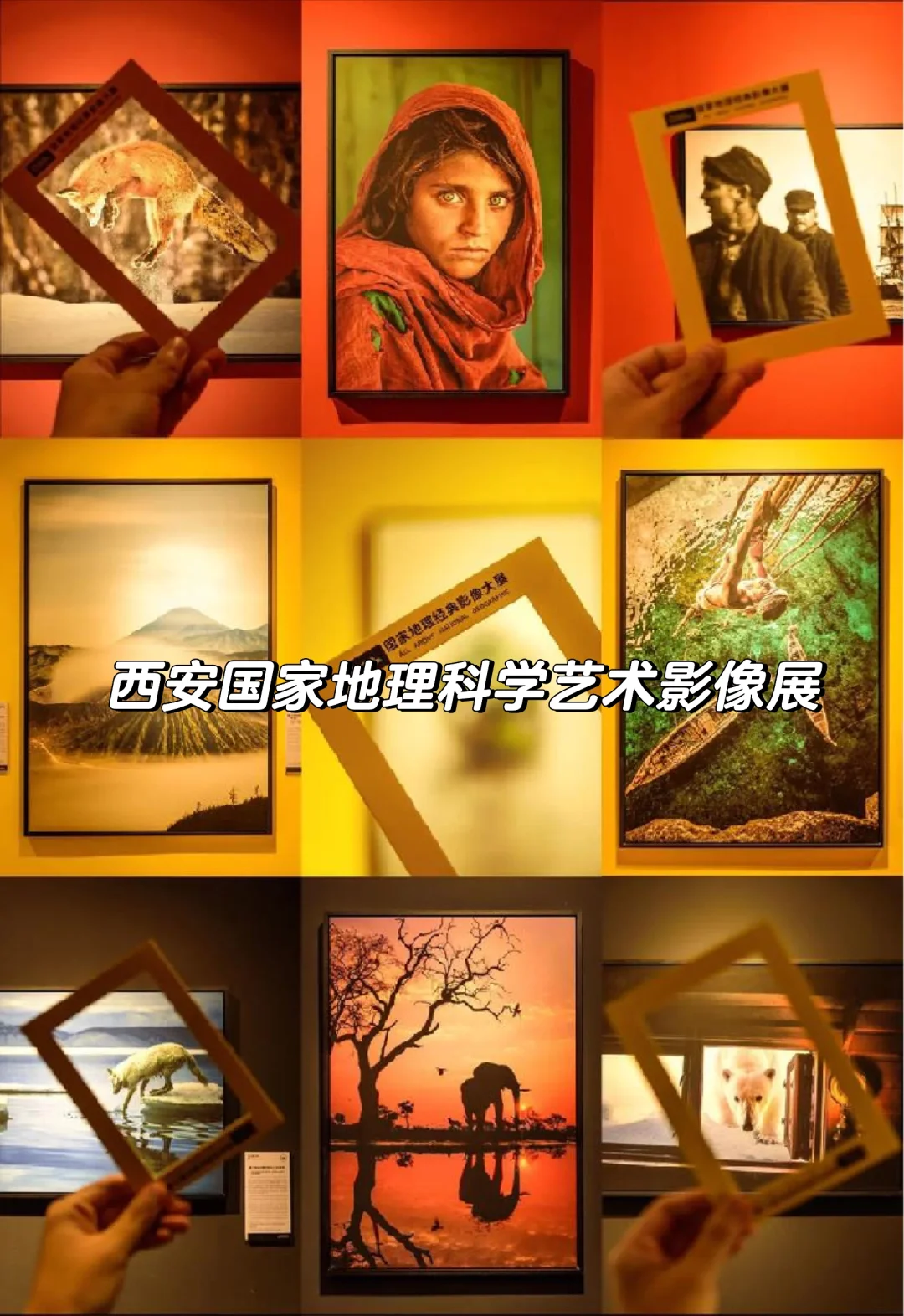 西安看展指南,12月展览大盘点~