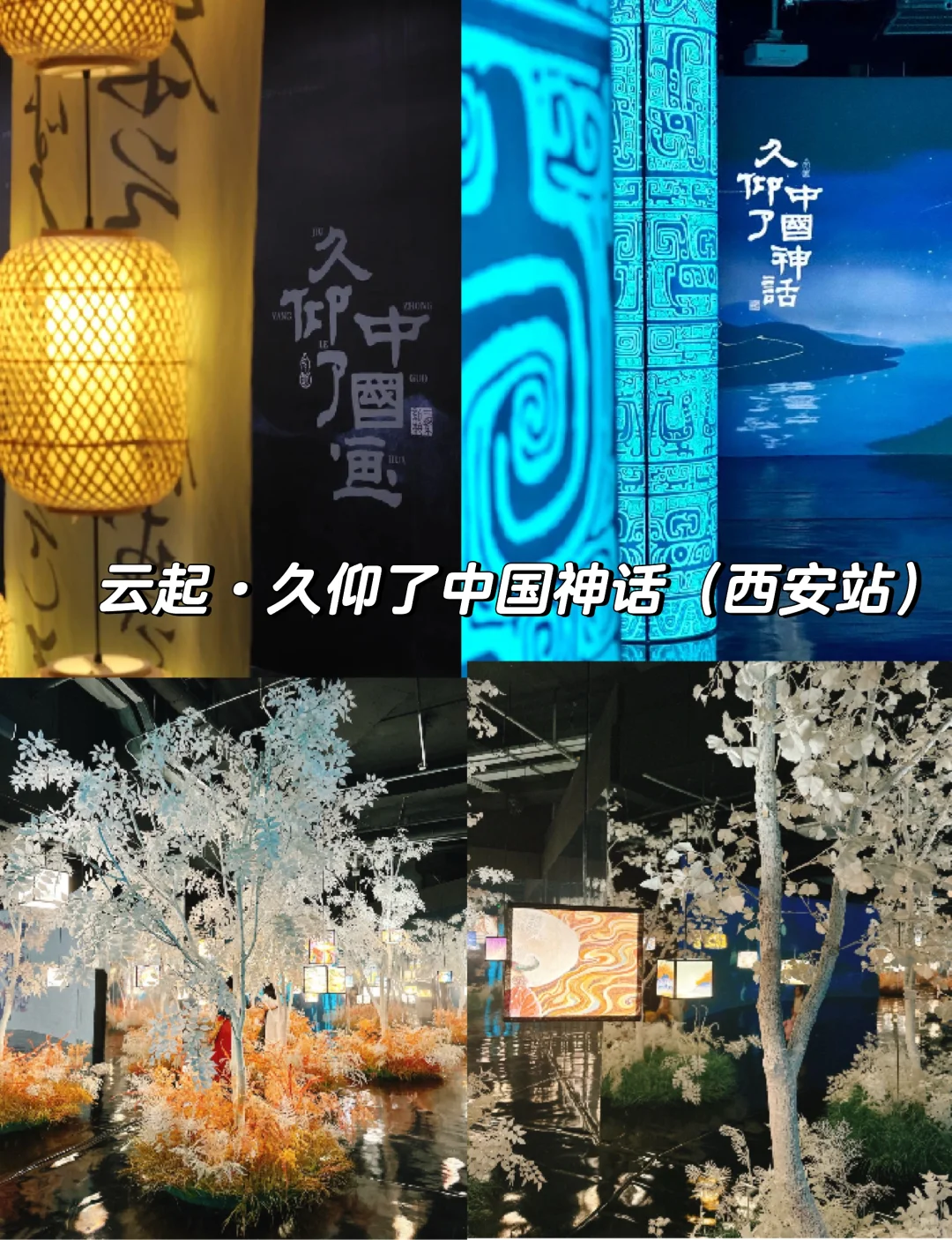 西安看展指南,12月展览大盘点~