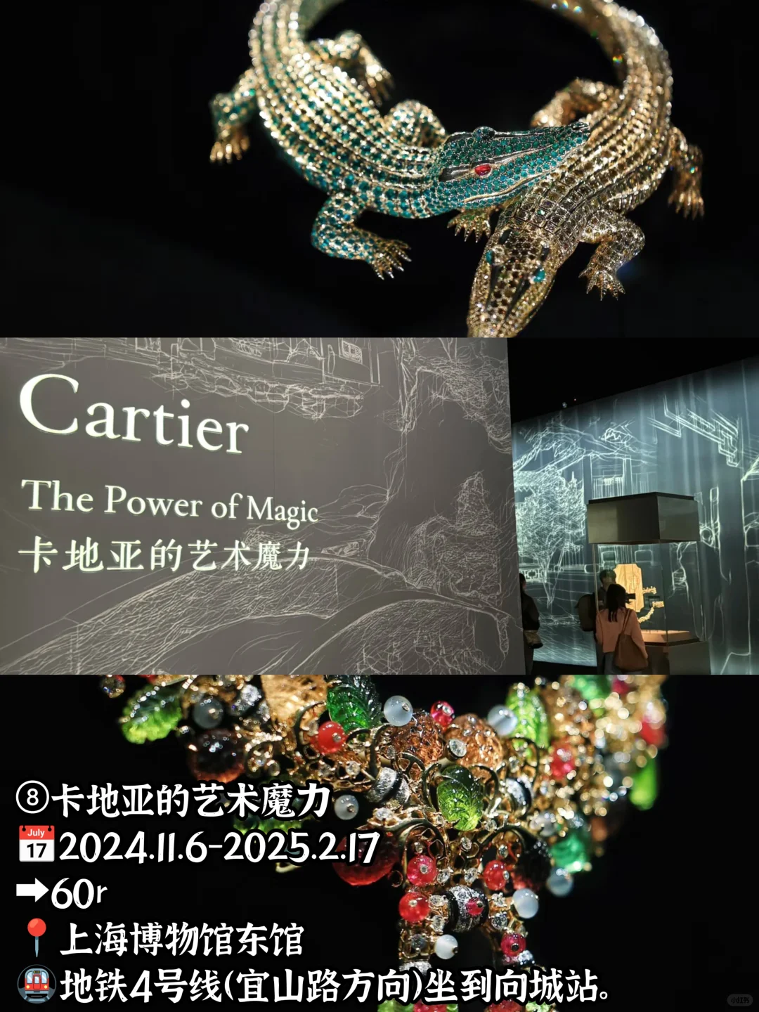 ?2025上海1月展览汇总?附周边寄存点