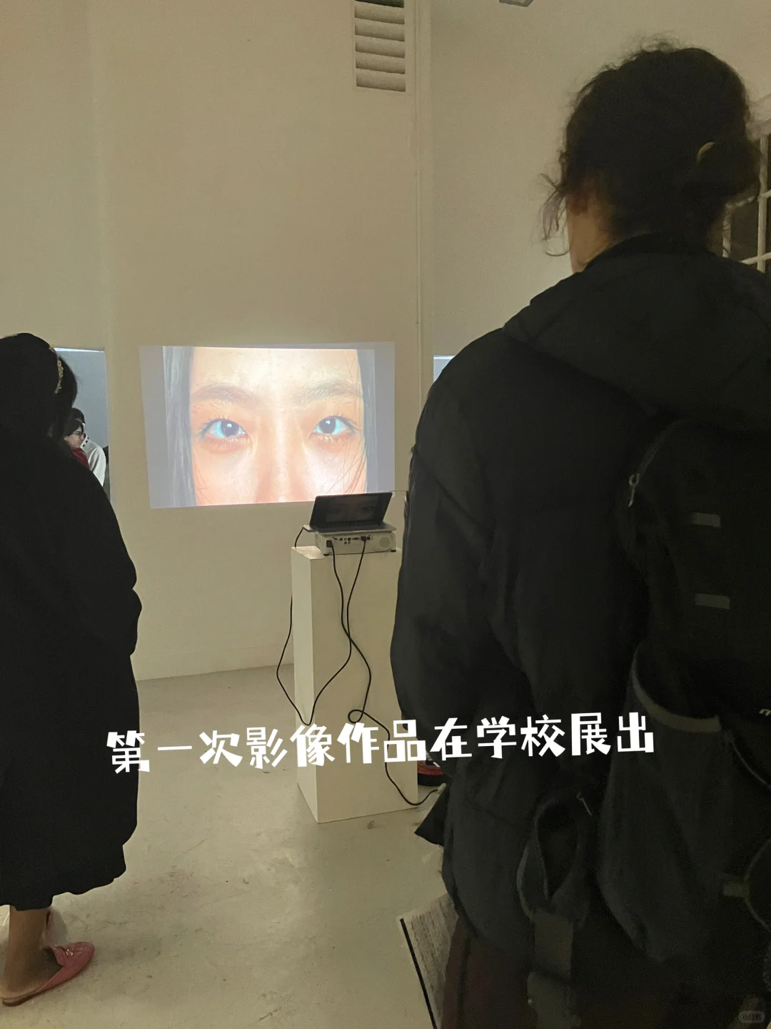 是WHO??!