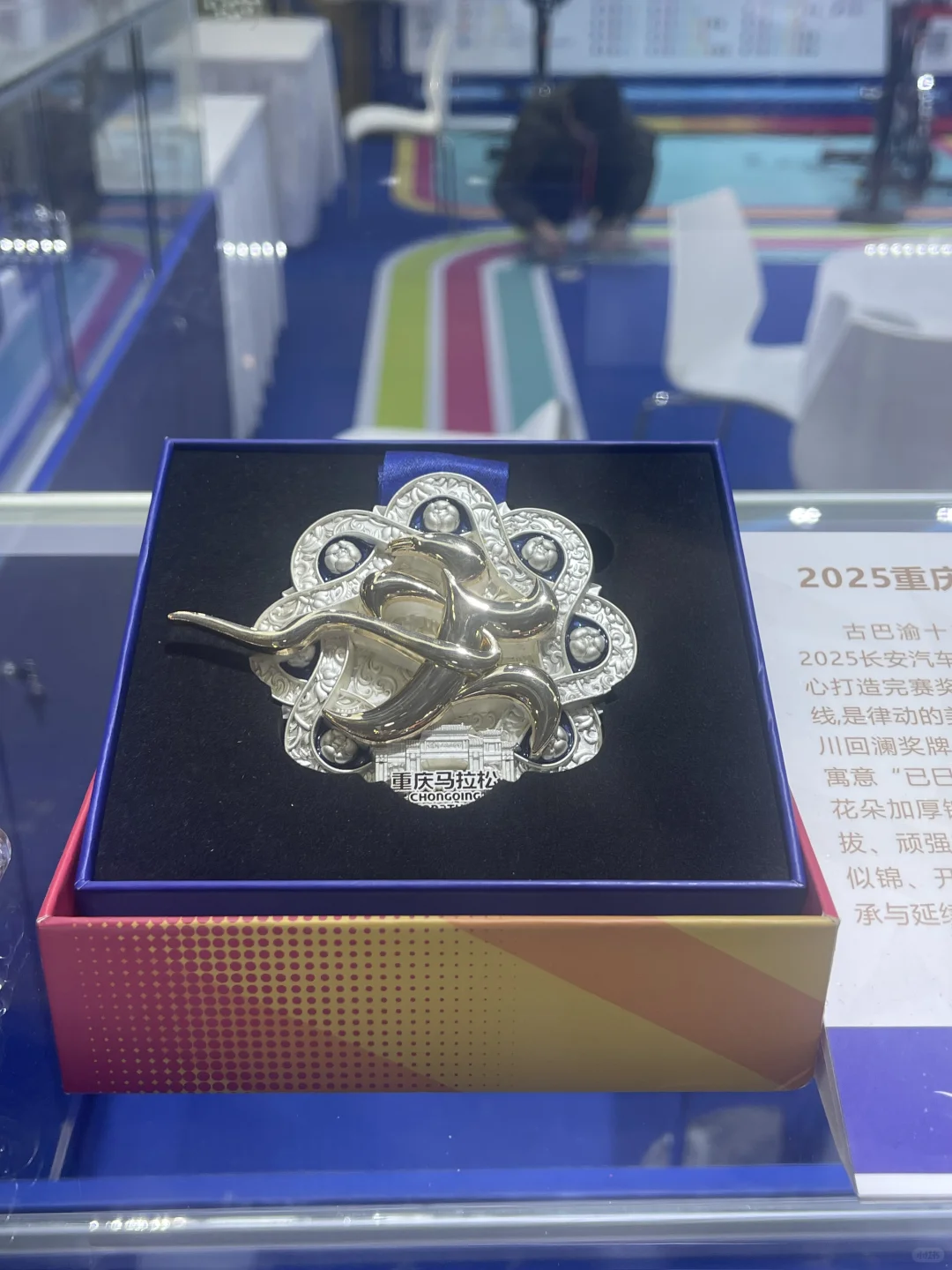 2025厦门马拉松&第六届中国马拉松博览会