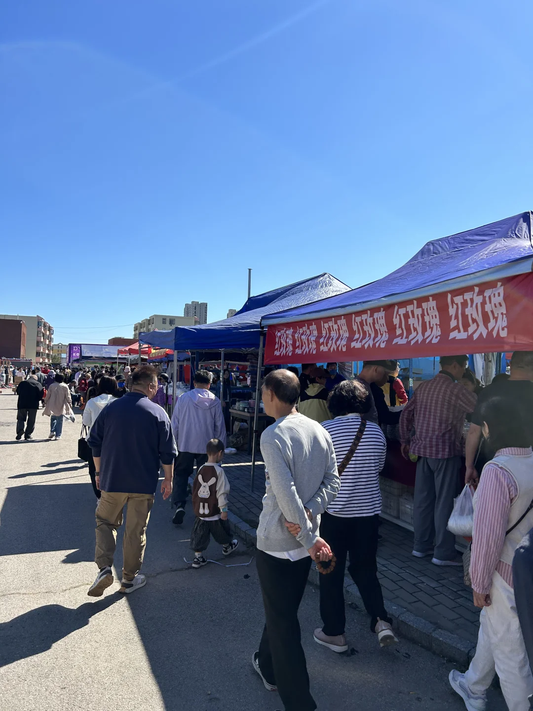 唐山?陶瓷博览会采买攻略！快看看都有啥！
