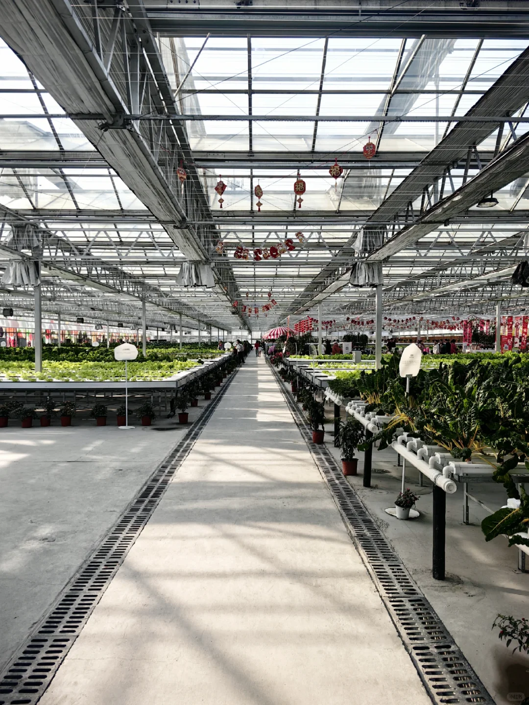 15块钱让娃玩嗨！！值得N刷的昌平遛娃宝地