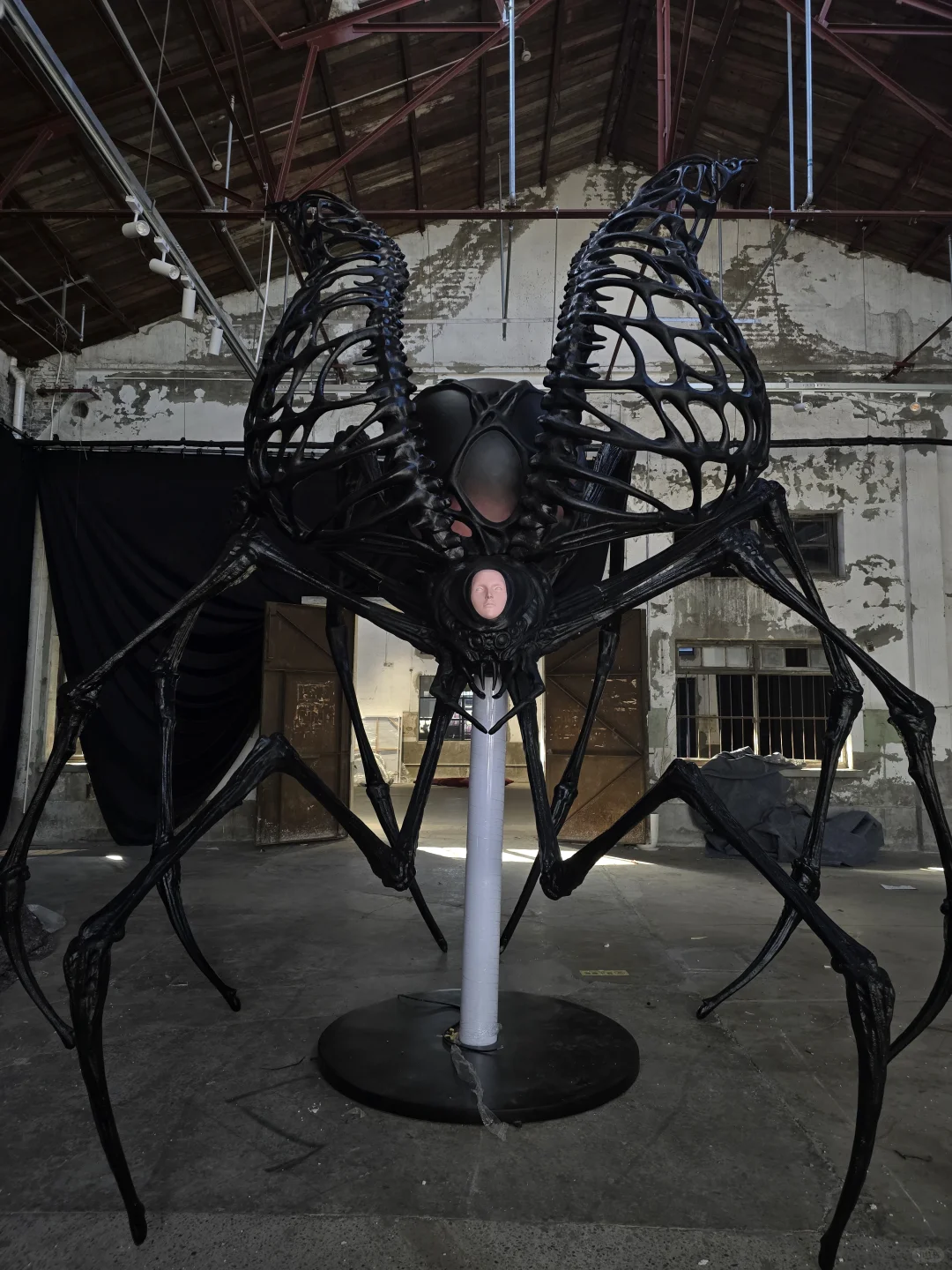 上海新展预告丨蝴蝶的另一种诠释