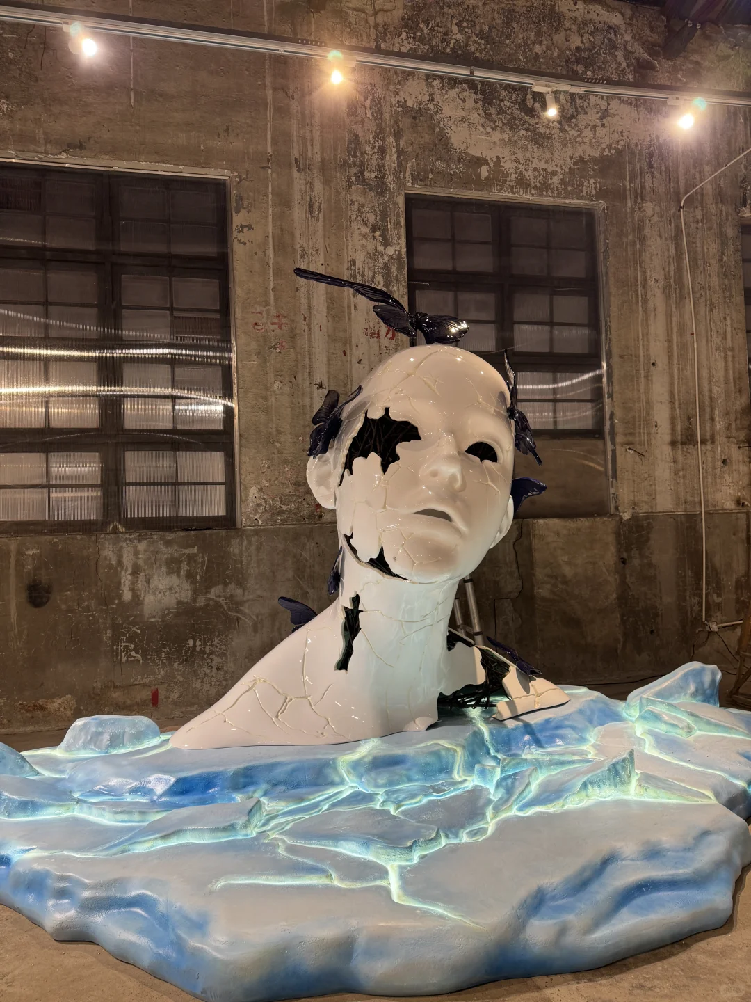 上海新展预告丨蝴蝶的另一种诠释