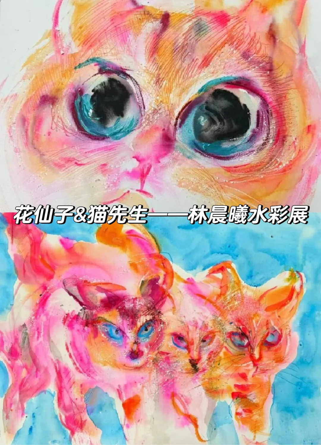 2025年西安一月展览/展会合集 | 看展指南