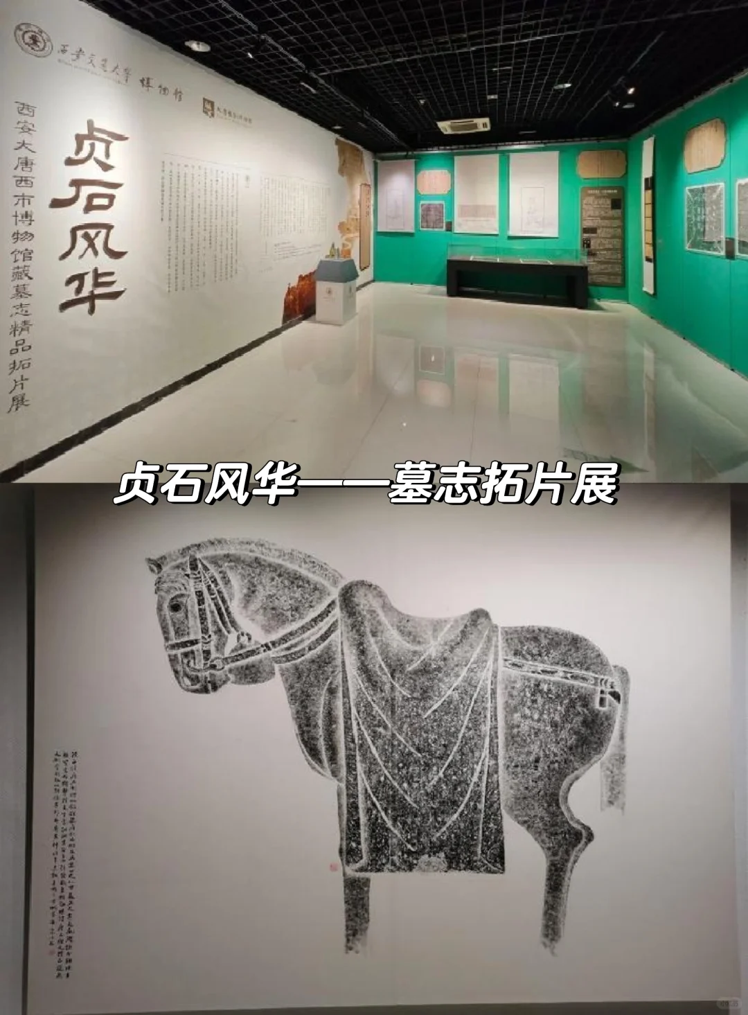 2025年西安一月展览/展会合集 | 看展指南