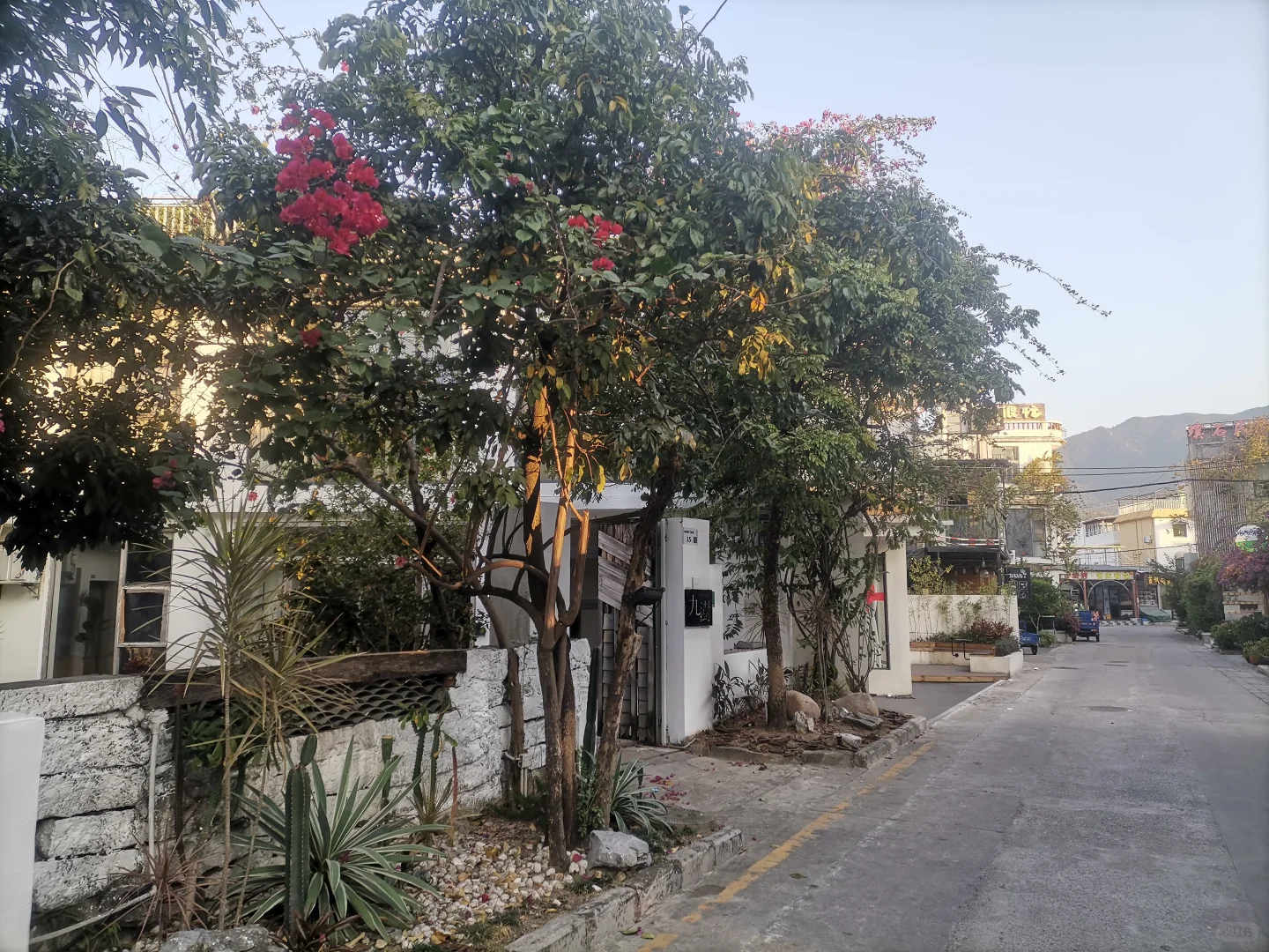 不像大鹏所城民宿的九澍 转型民宿+