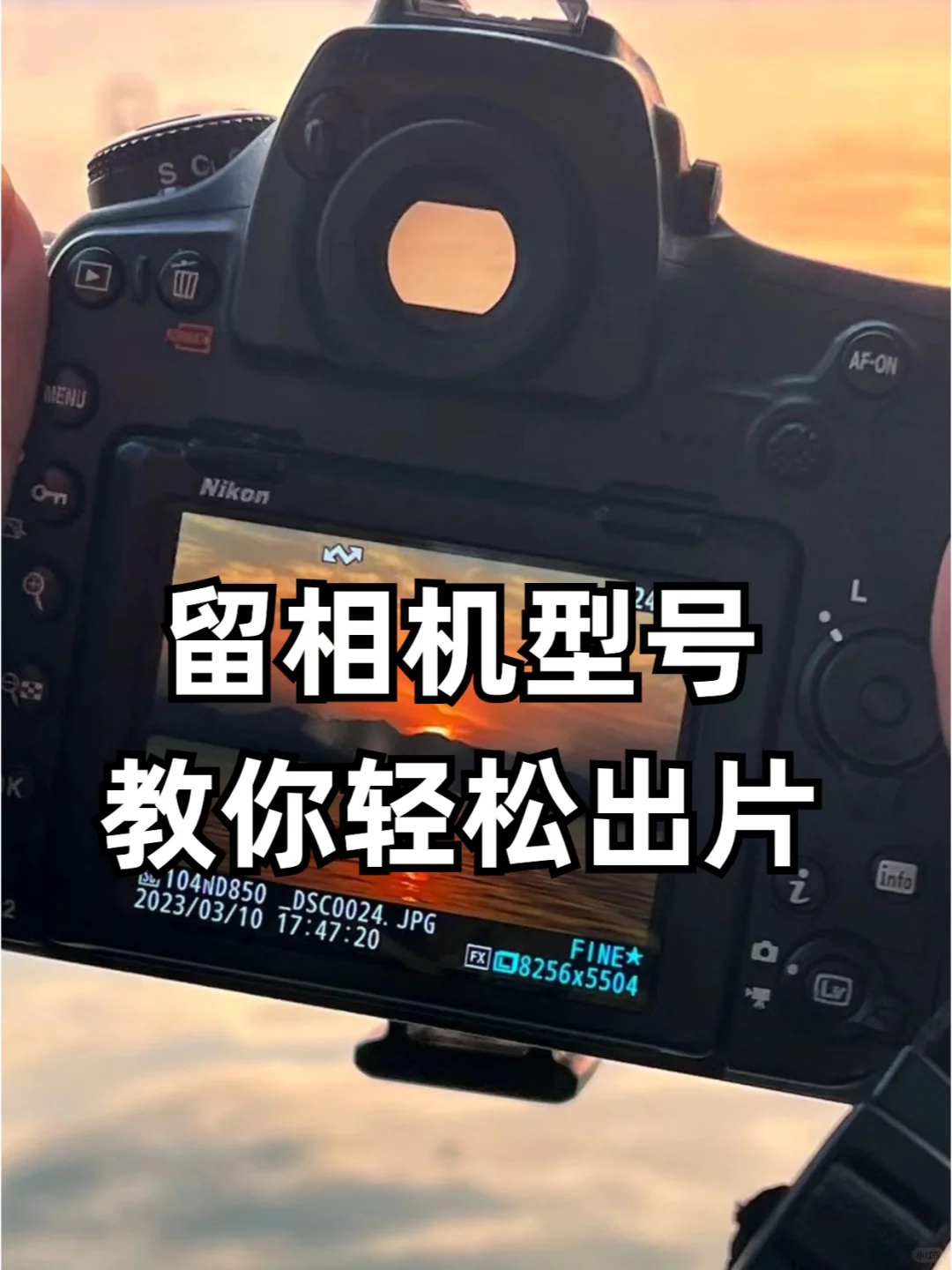 M档万能口诀，拒绝死记硬背