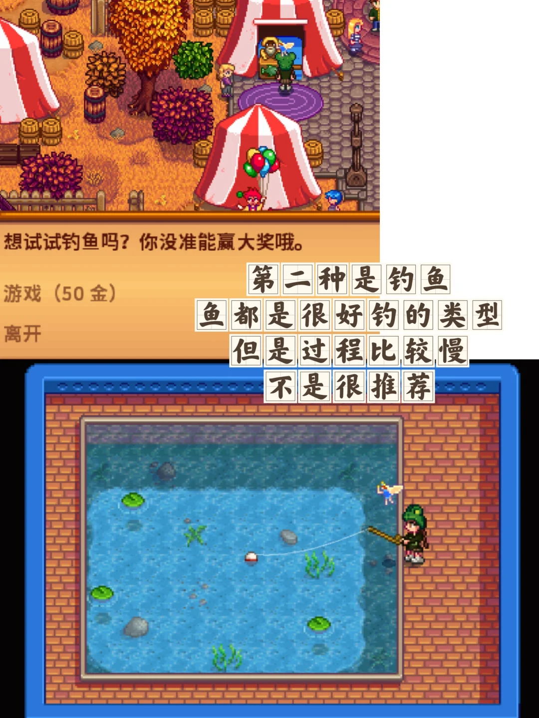 星露谷节日之展览会！