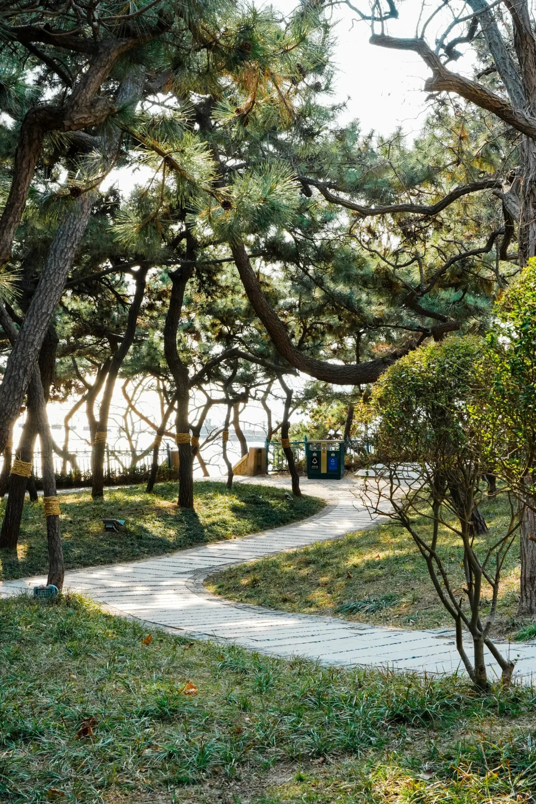 青岛旅行，这50块千万别花?