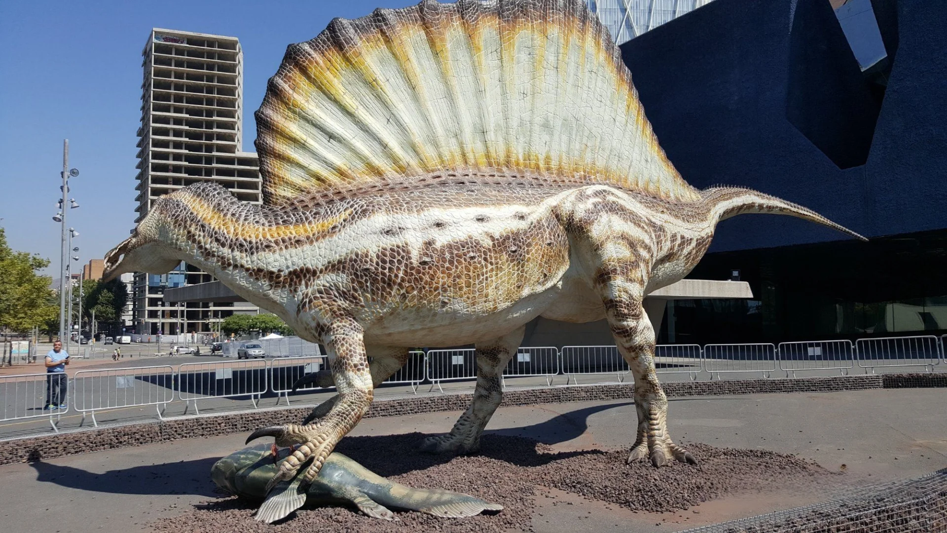 可能是目前已知最长的食肉恐龙--棘龙