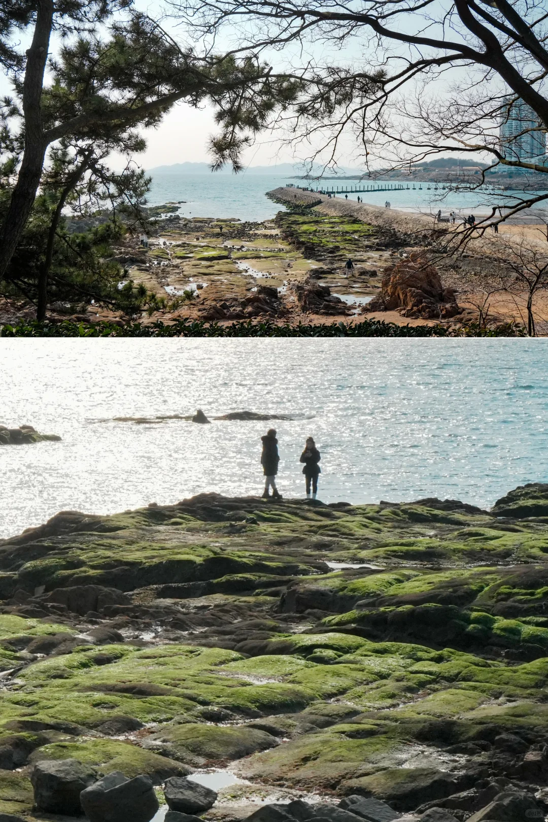 青岛旅行，这50块千万别花?