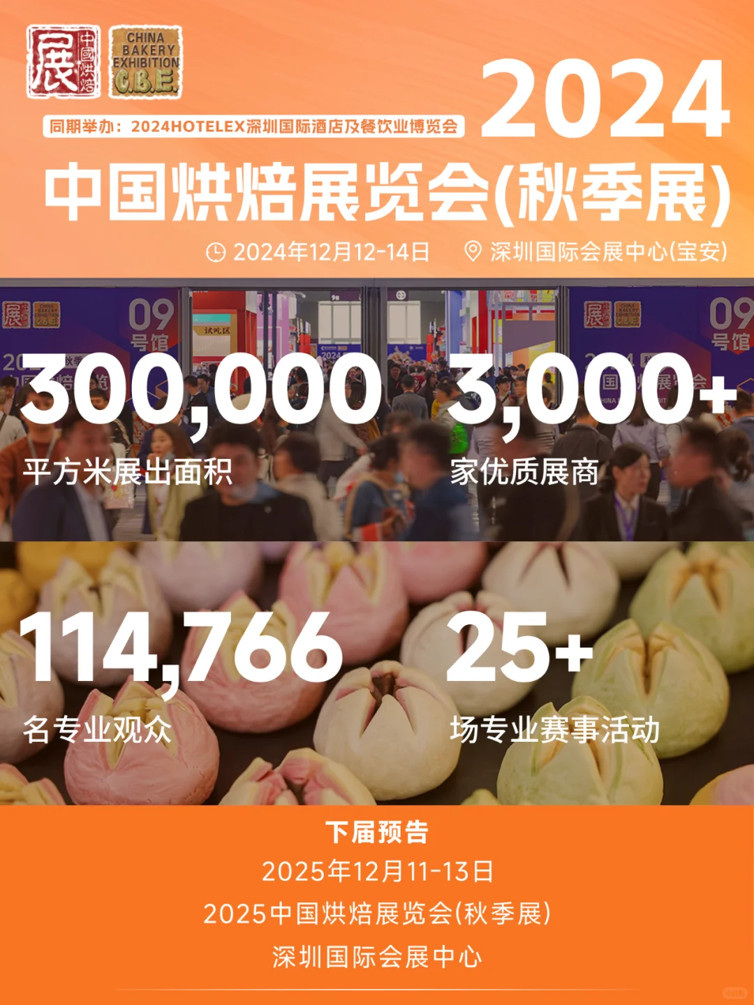 ?2024回顾!2025年5月再会?