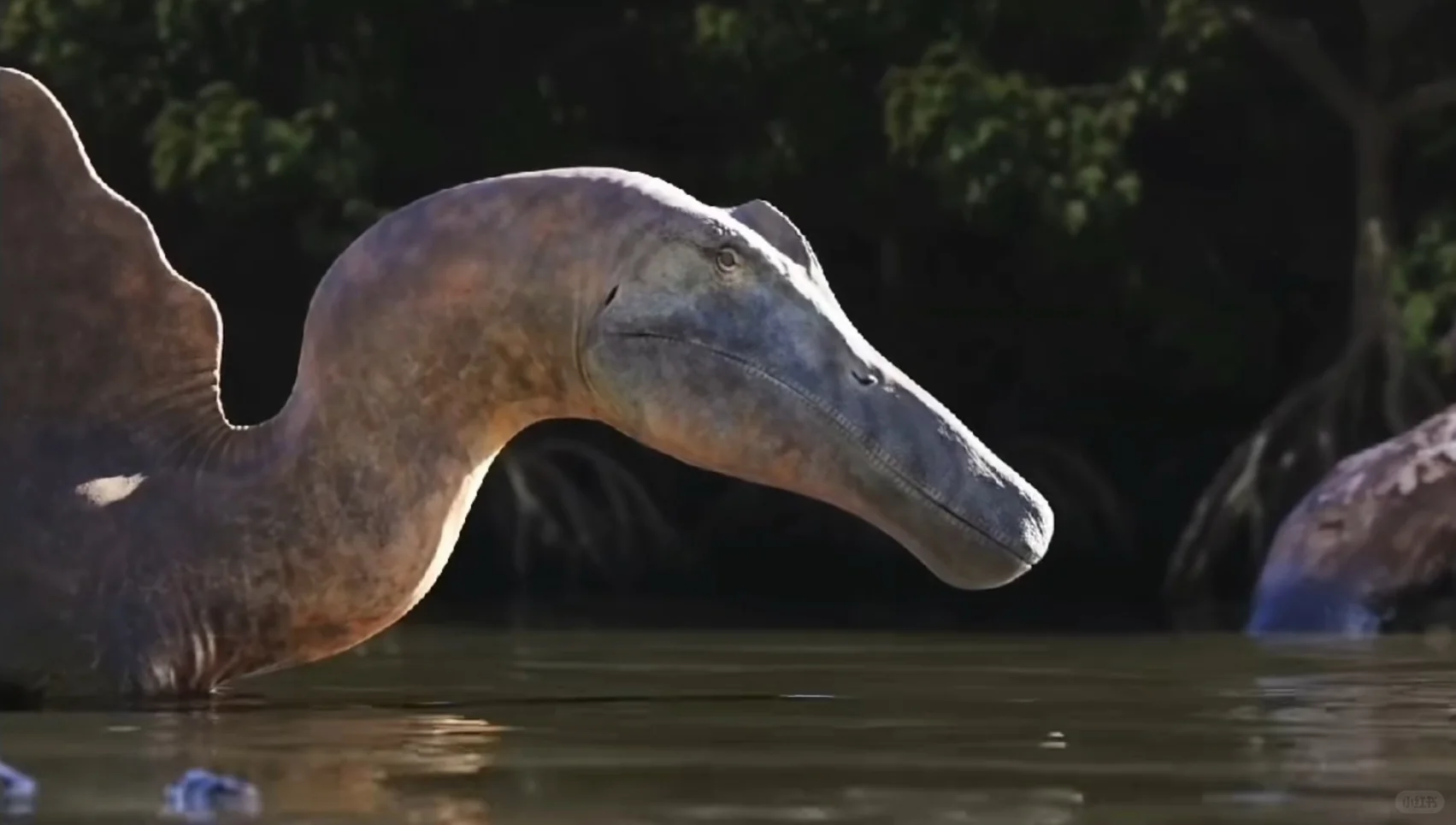 可能是目前已知最长的食肉恐龙--棘龙