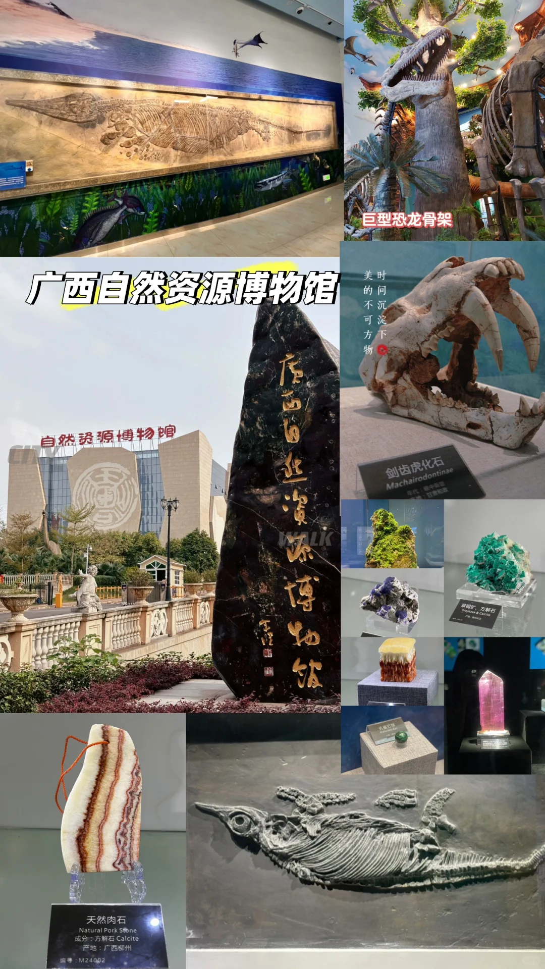 南宁999+景区美食合集~青秀区篇章（1）