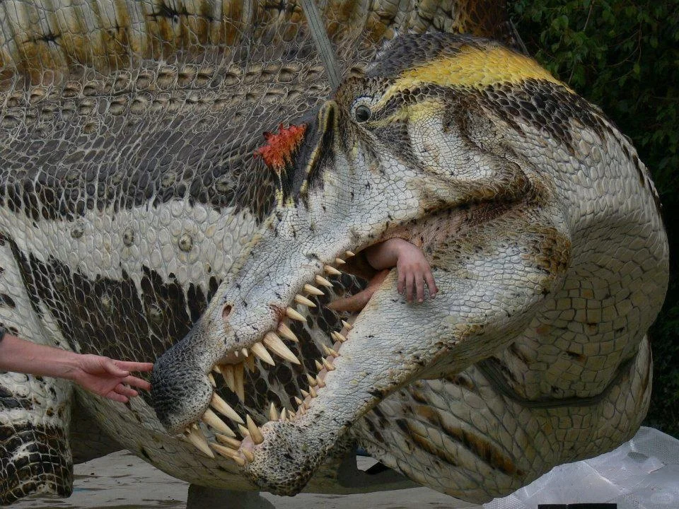 可能是目前已知最长的食肉恐龙--棘龙