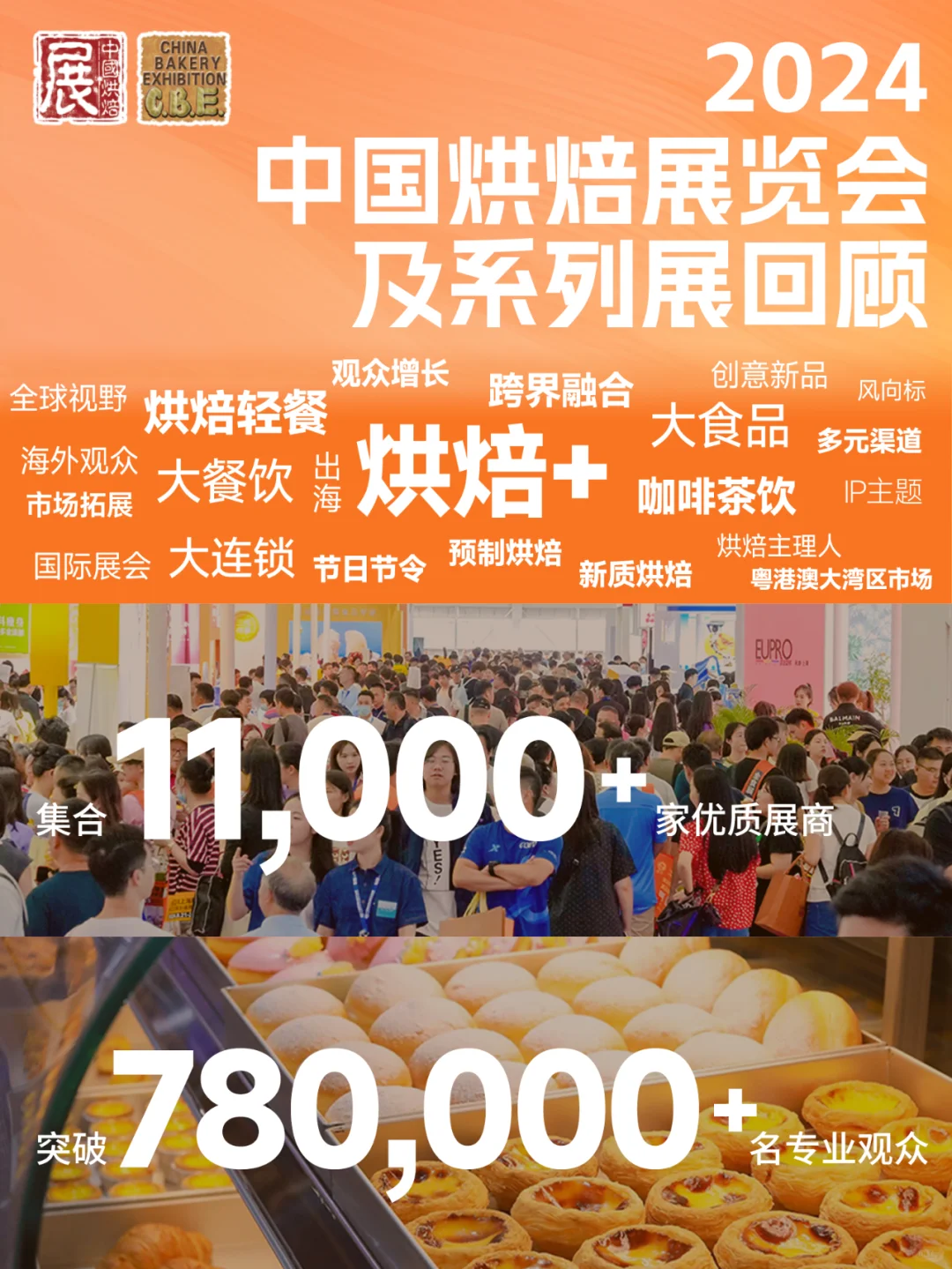 ?2024回顾!2025年5月再会?