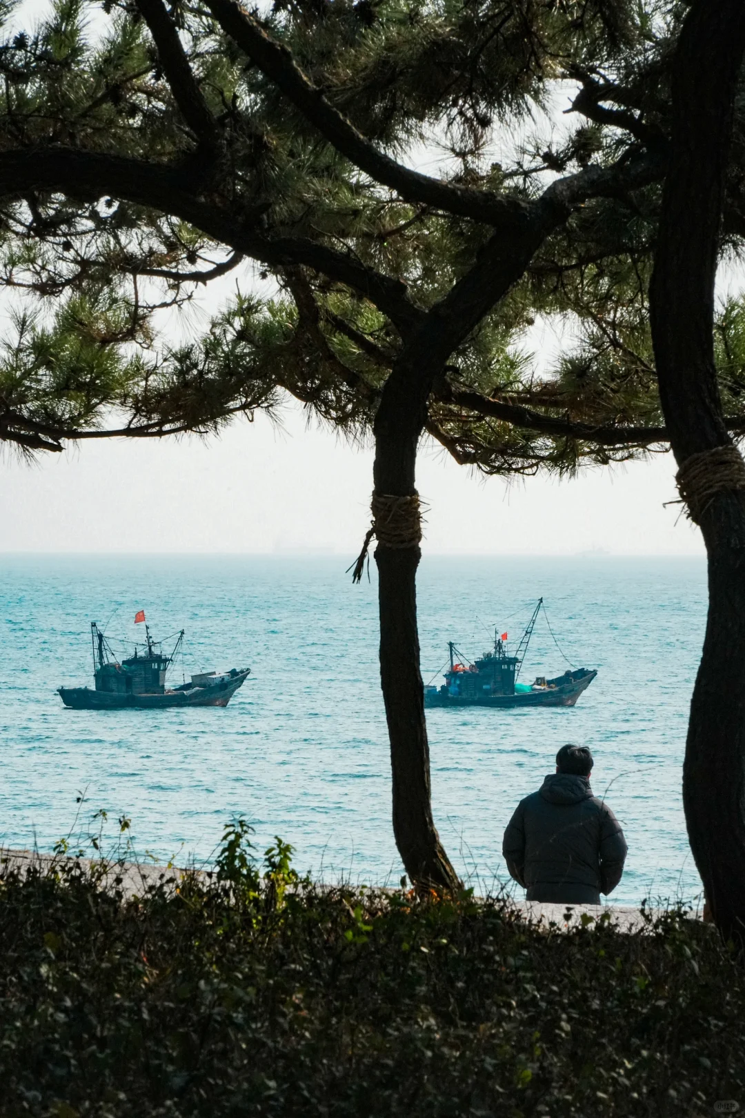 青岛旅行，这50块千万别花?
