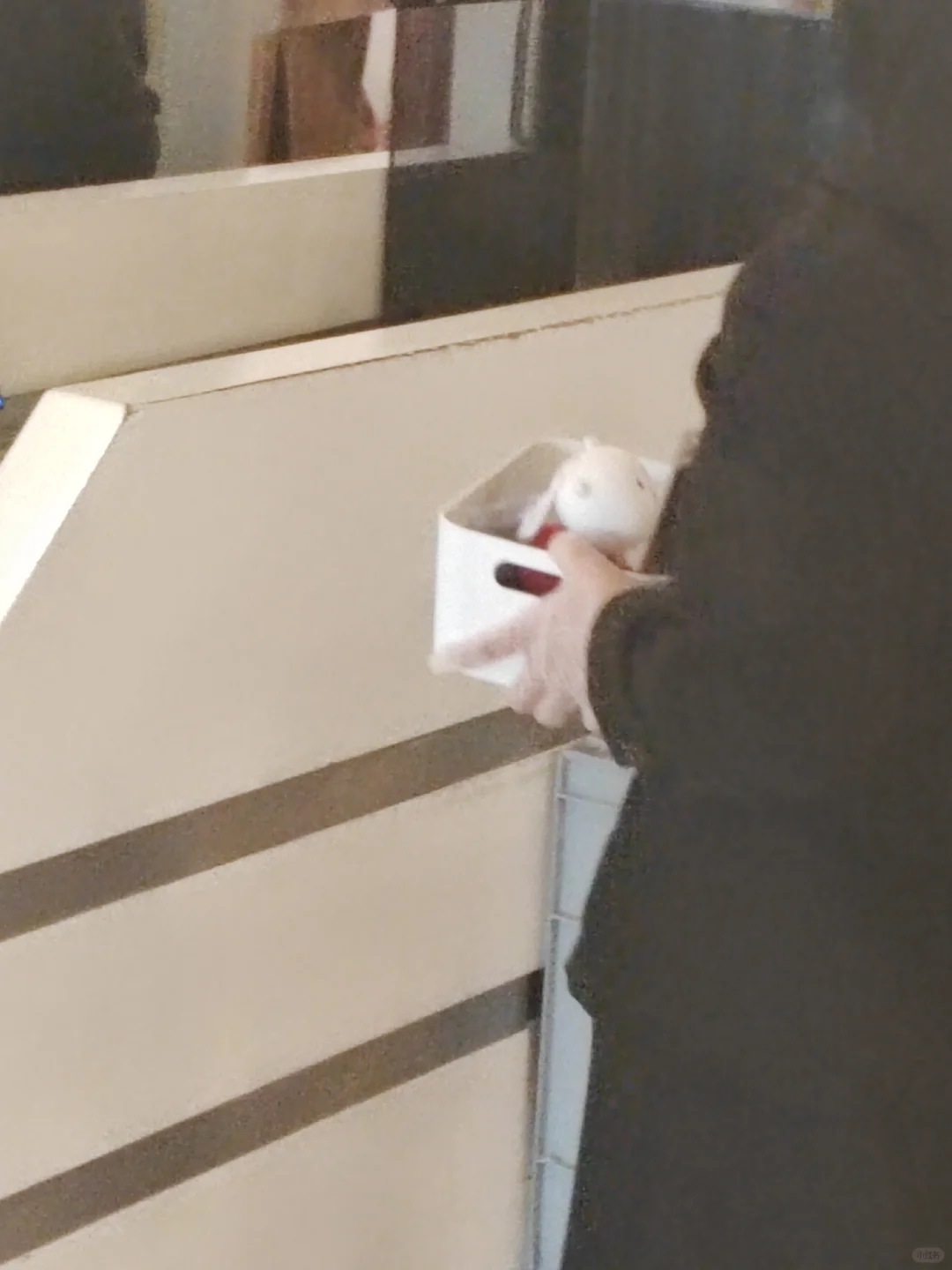 熊，在清真寺被遣返