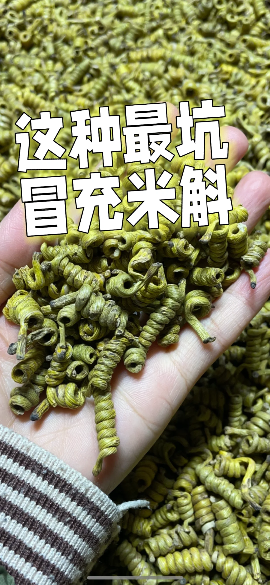不要在展会上买假货❗️❗️