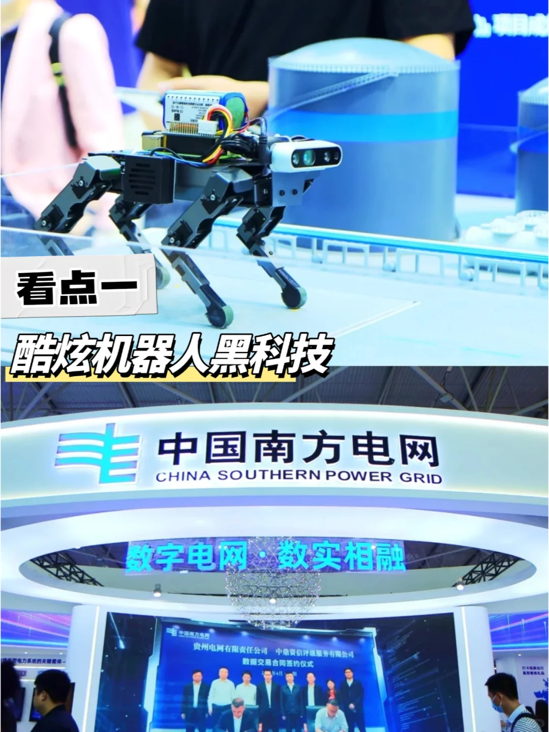 24年数博会怎么逛，看这篇就对了！！！