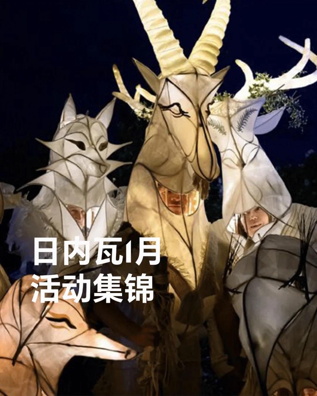 日内瓦1月活动集锦