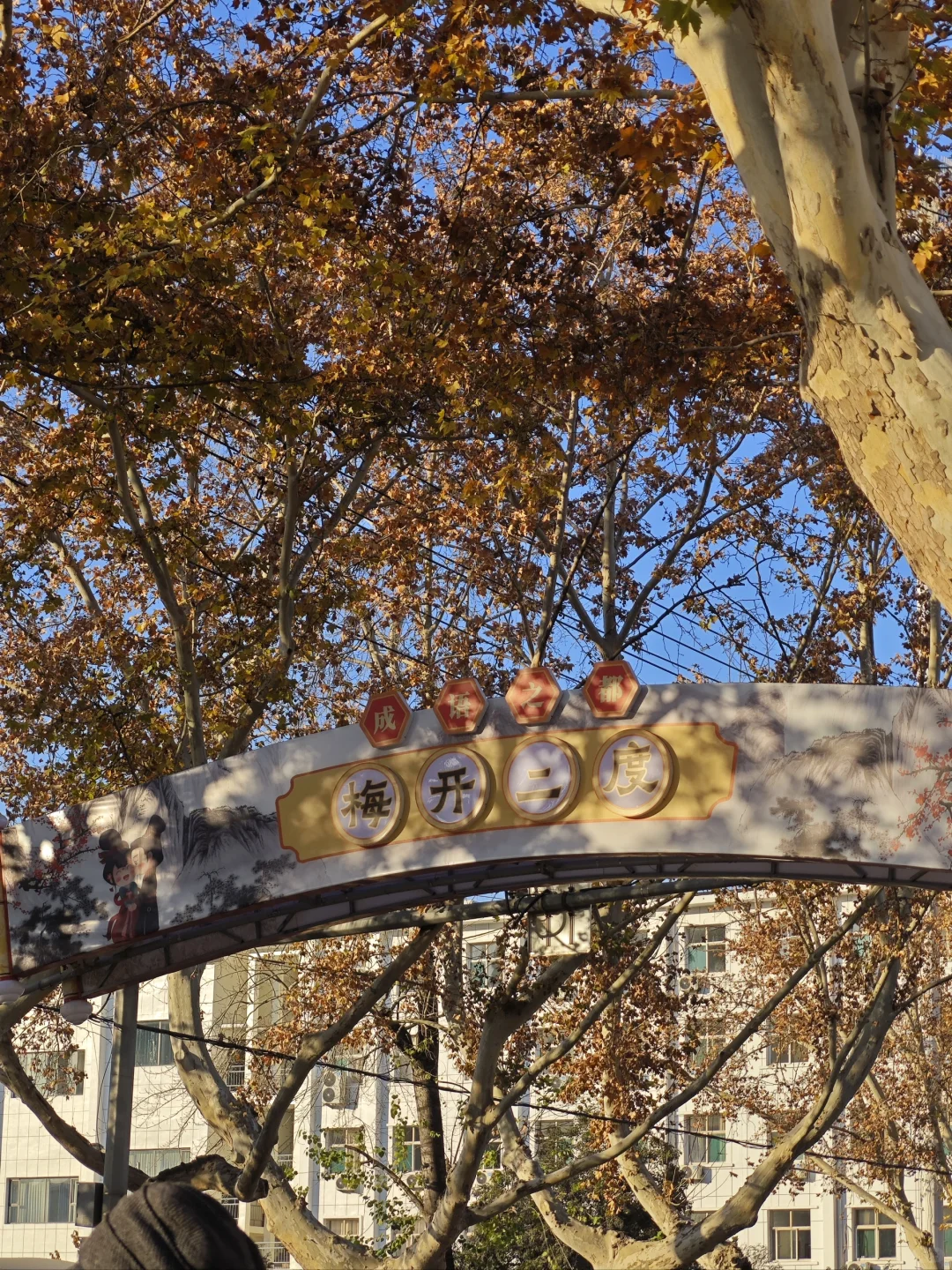 告别幸福美满的2024，开启寒假倒计时啦！