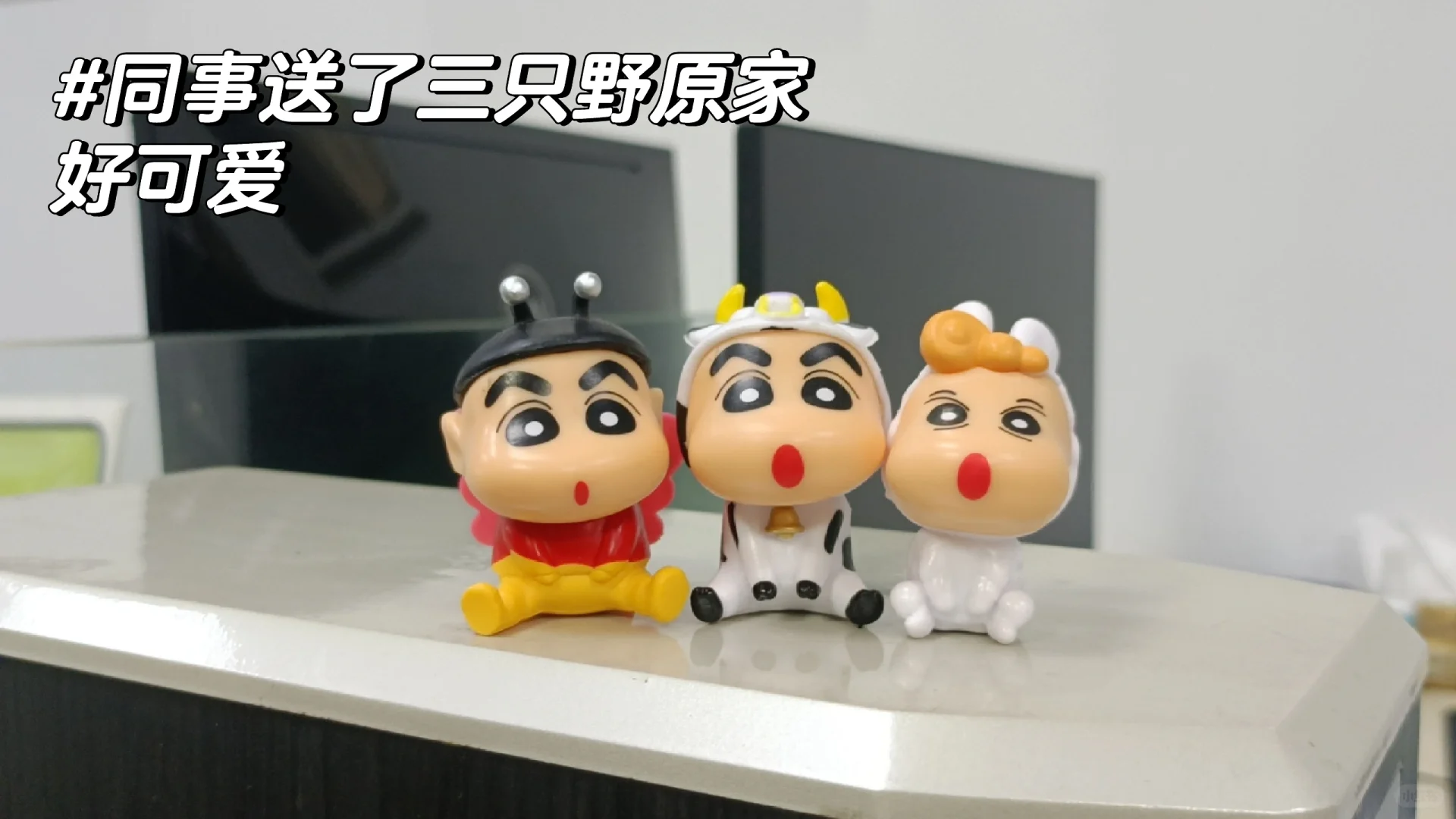 00后应届生|外展销售实习