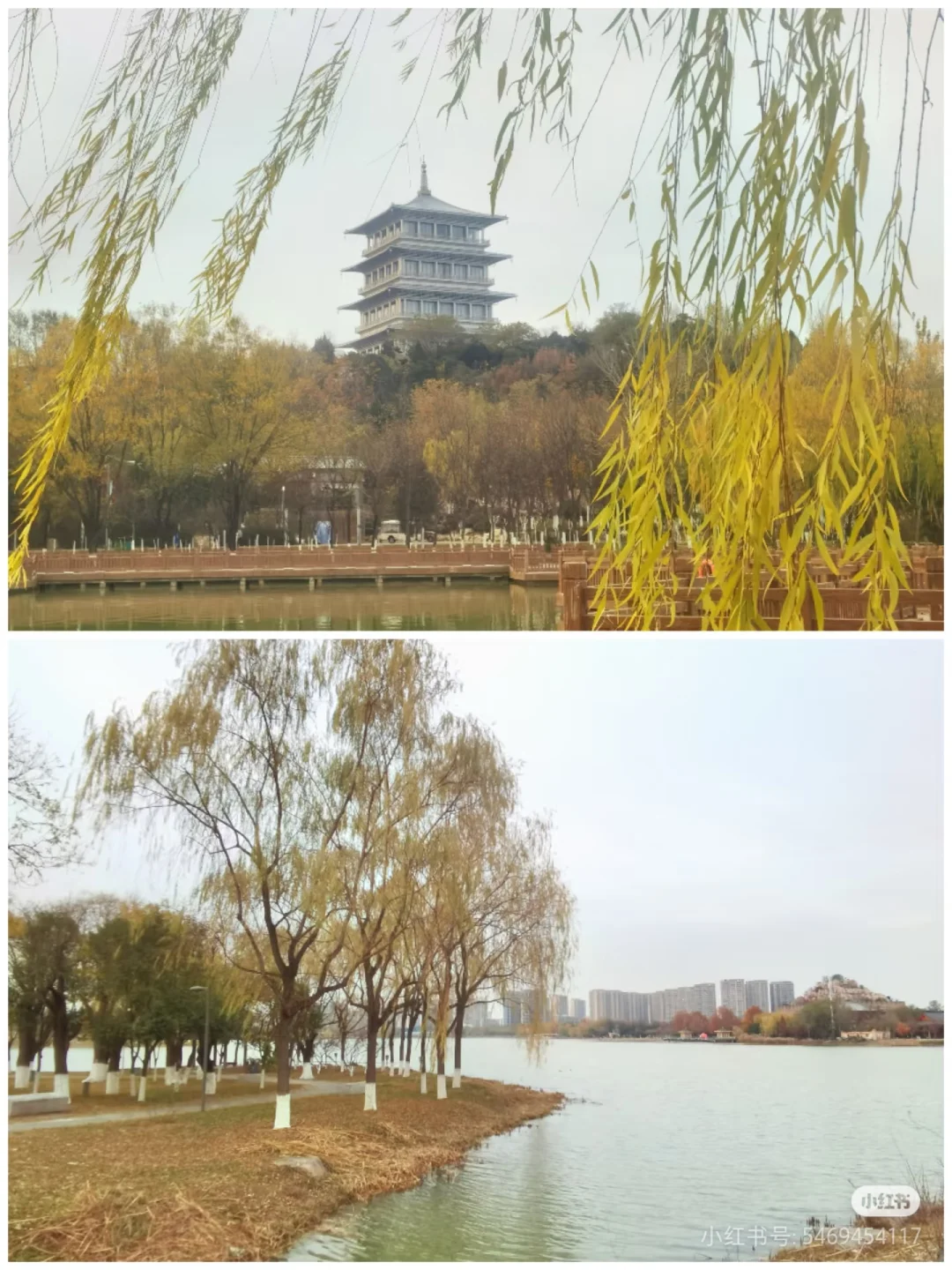 2025年第20届西安年货节来啦?