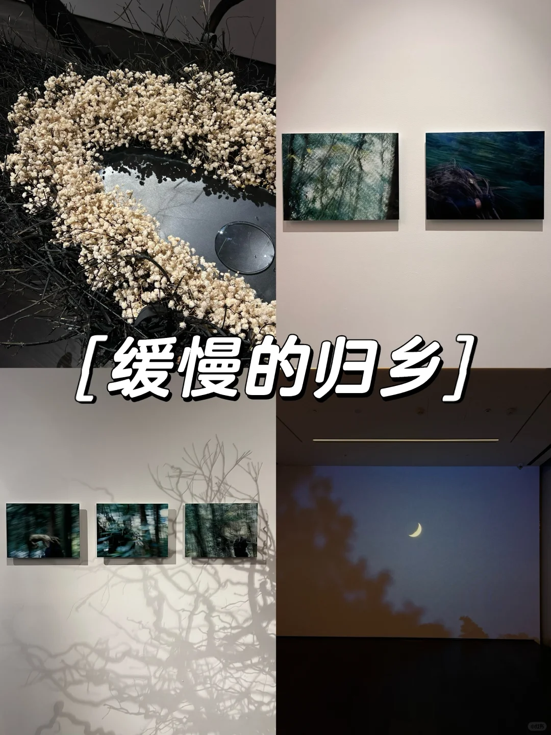 上海1️⃣?️值得看的18个免费?展览合集‼️