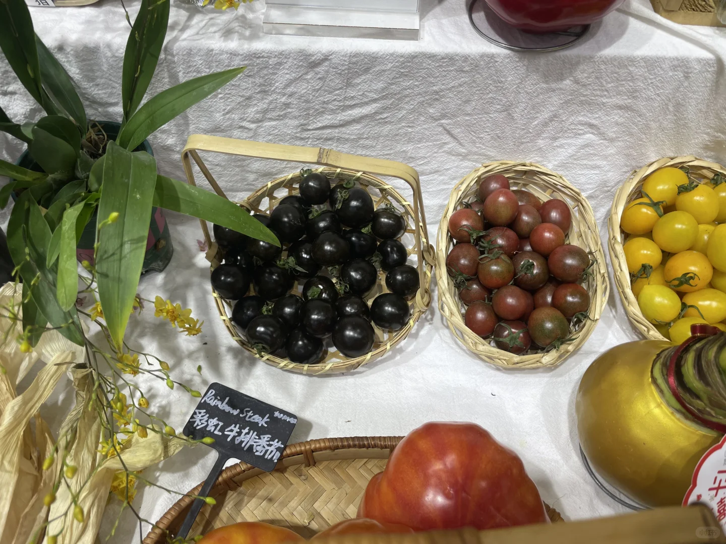 怒逛五小时农博会
