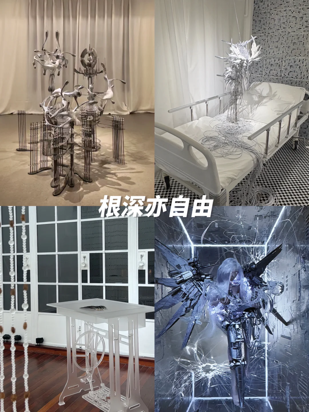 上海1月高质量?免费展合集｜不可错过‼️