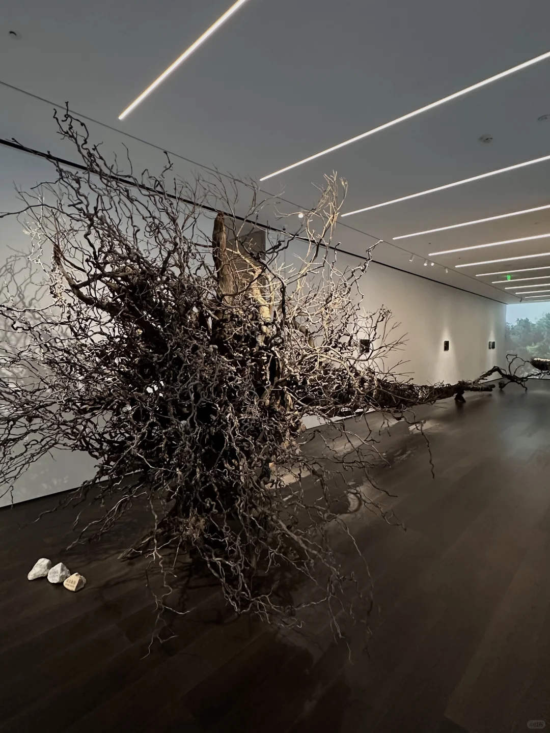 上海新展｜Like water through a river?