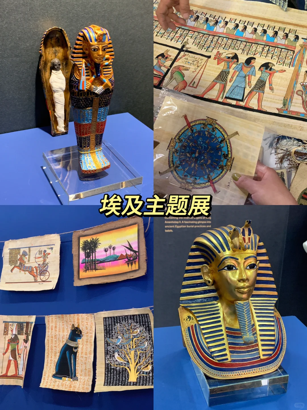暴走2w步！2024杭州文博会超全攻略！逛不完..