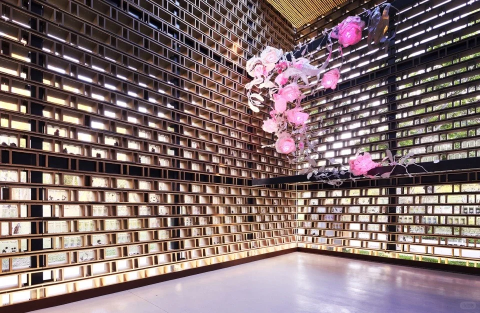 台中“在台中看见半个地球”发现馆 台中“在