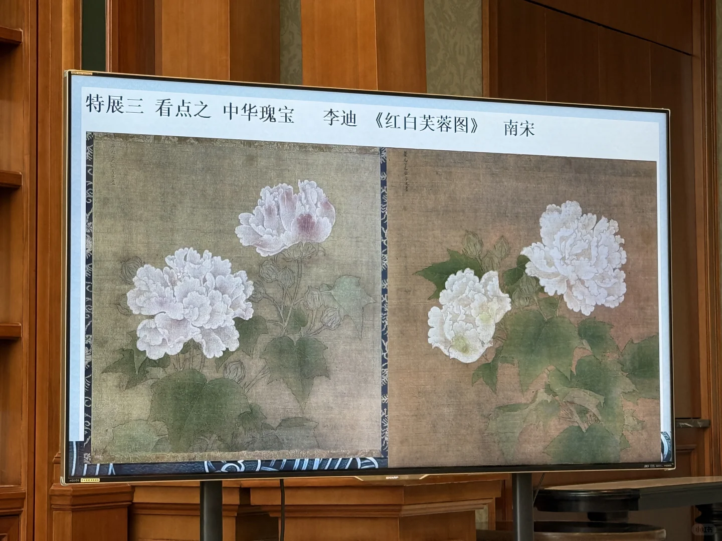 日本展览｜2025年大阪世博会
