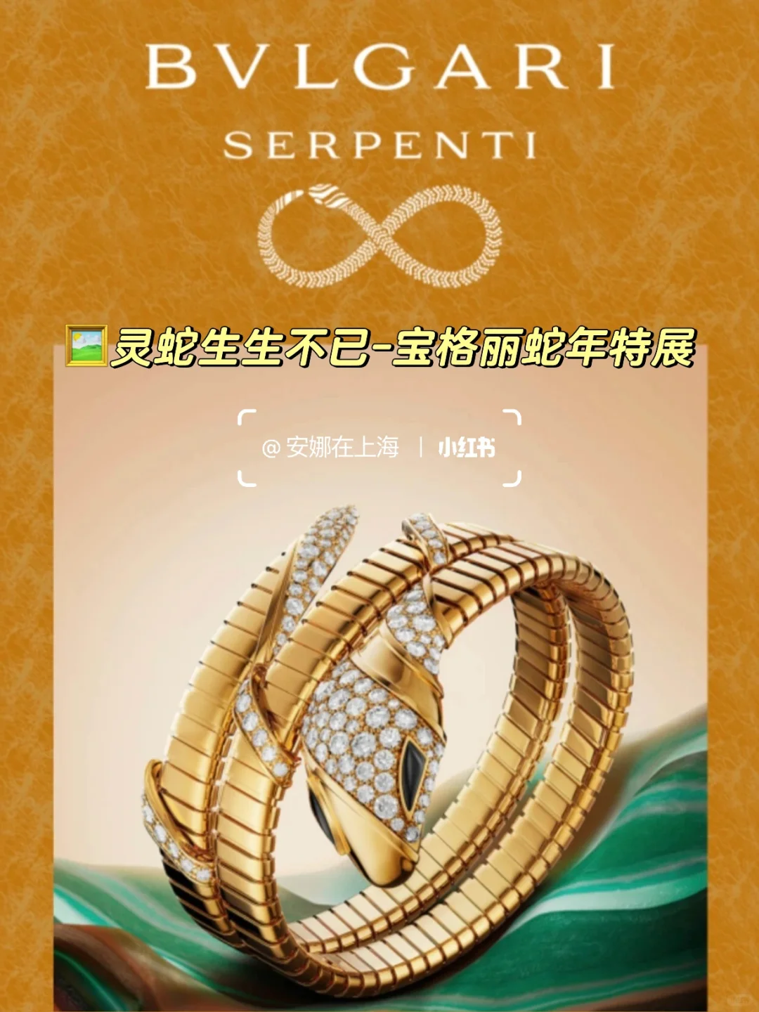 上海1月看展?️值得看的新展合集✅收藏码住