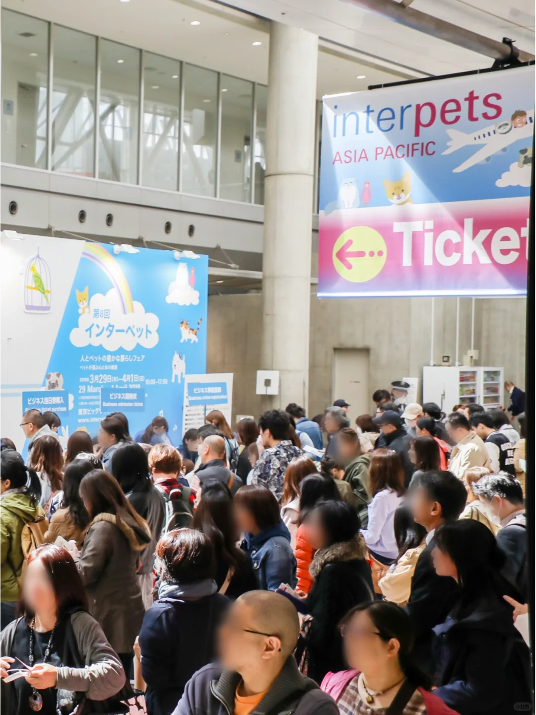 2025日本宠物展 | 开拓海外萌宠市场契机