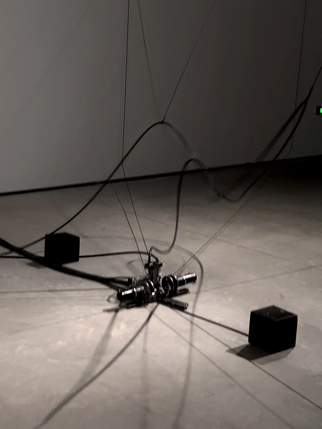 ??‍?❄迎接我的2025第❶展˚??️☃︎