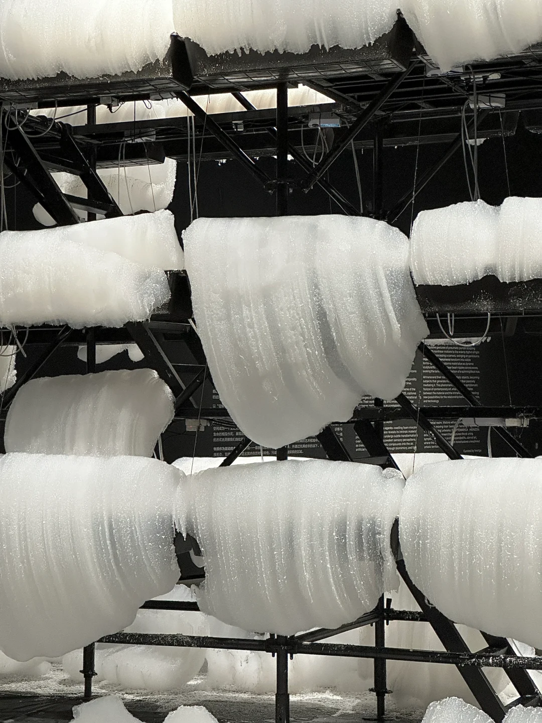 ??‍?❄迎接我的2025第❶展˚??️☃︎