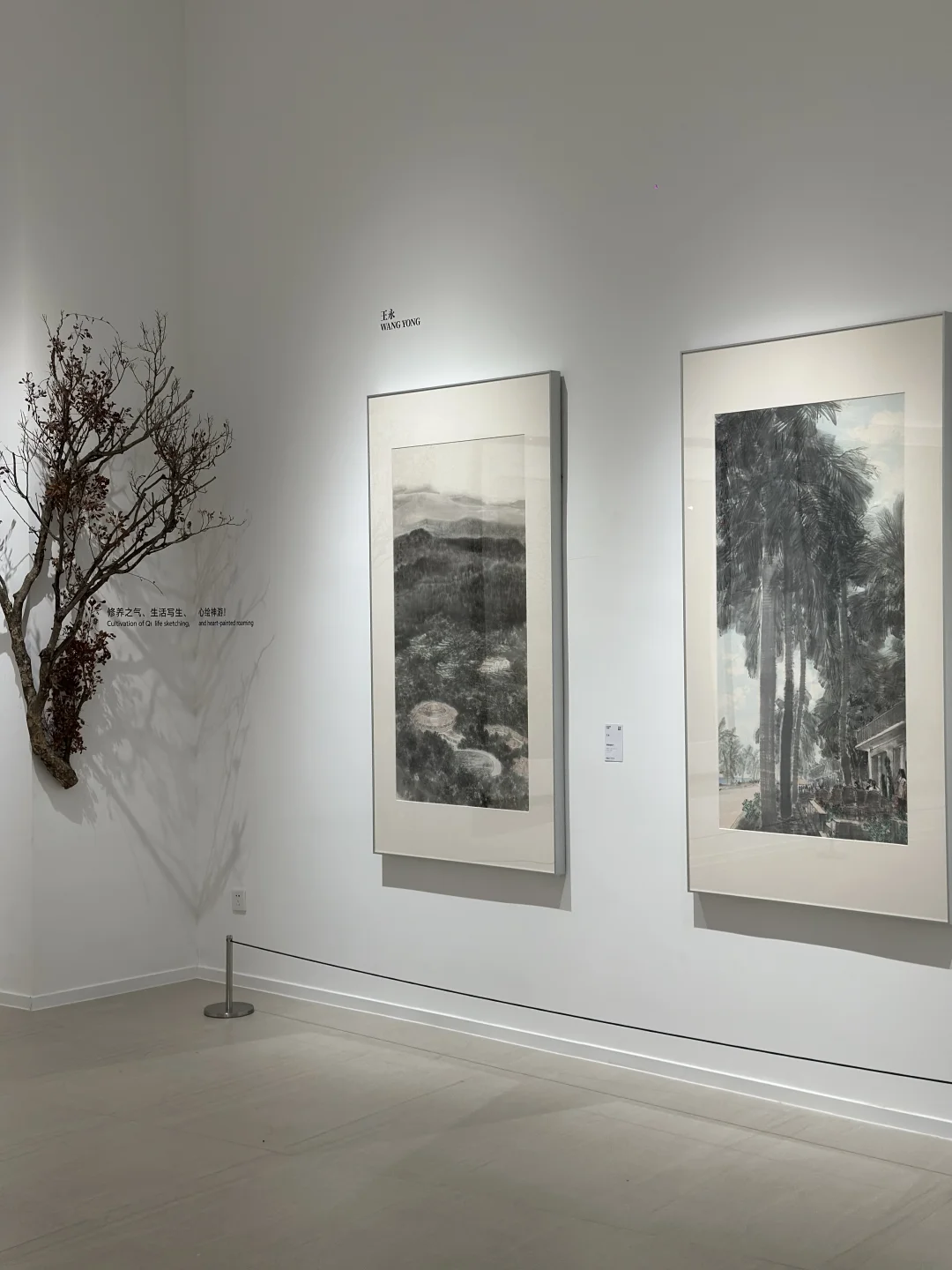 中山新展｜与朋友一起看个漂亮展?️