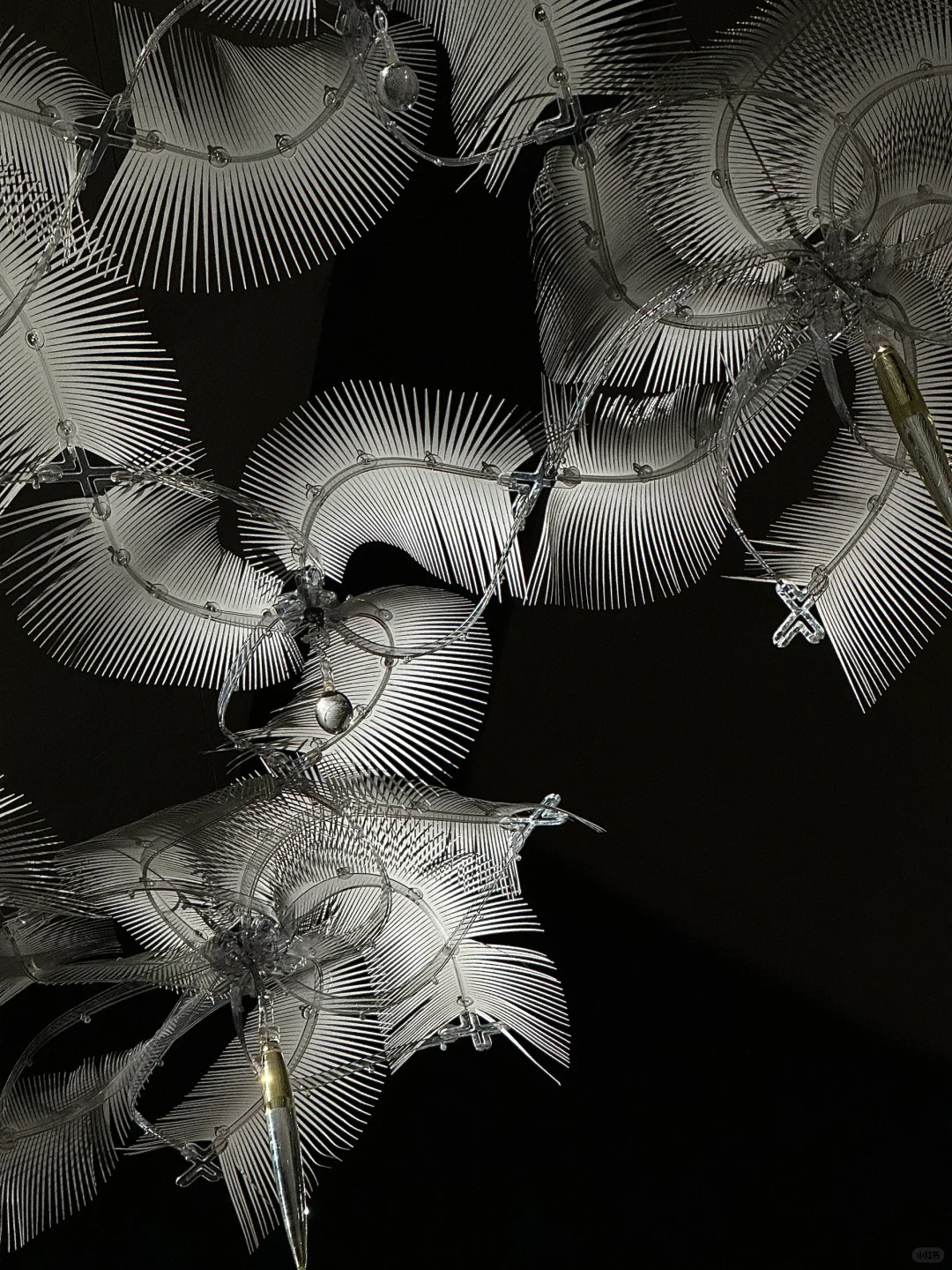 ??‍?❄迎接我的2025第❶展˚??️☃︎