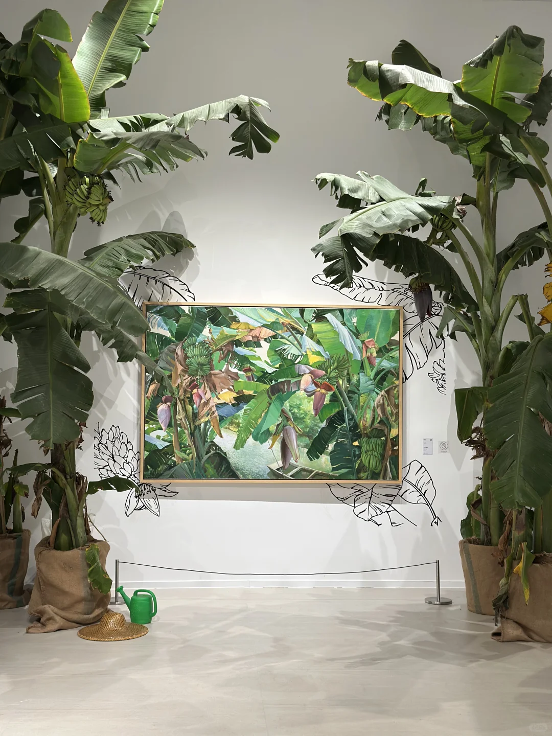 中山新展｜与朋友一起看个漂亮展?️