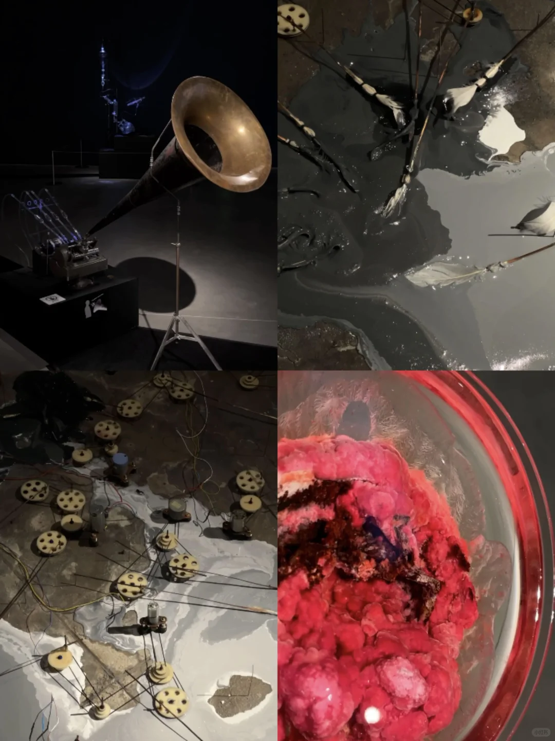 ??‍?❄迎接我的2025第❶展˚??️☃︎