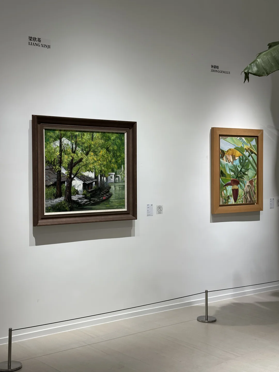 中山新展｜与朋友一起看个漂亮展?️